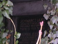 022 Schwarz-Szász család